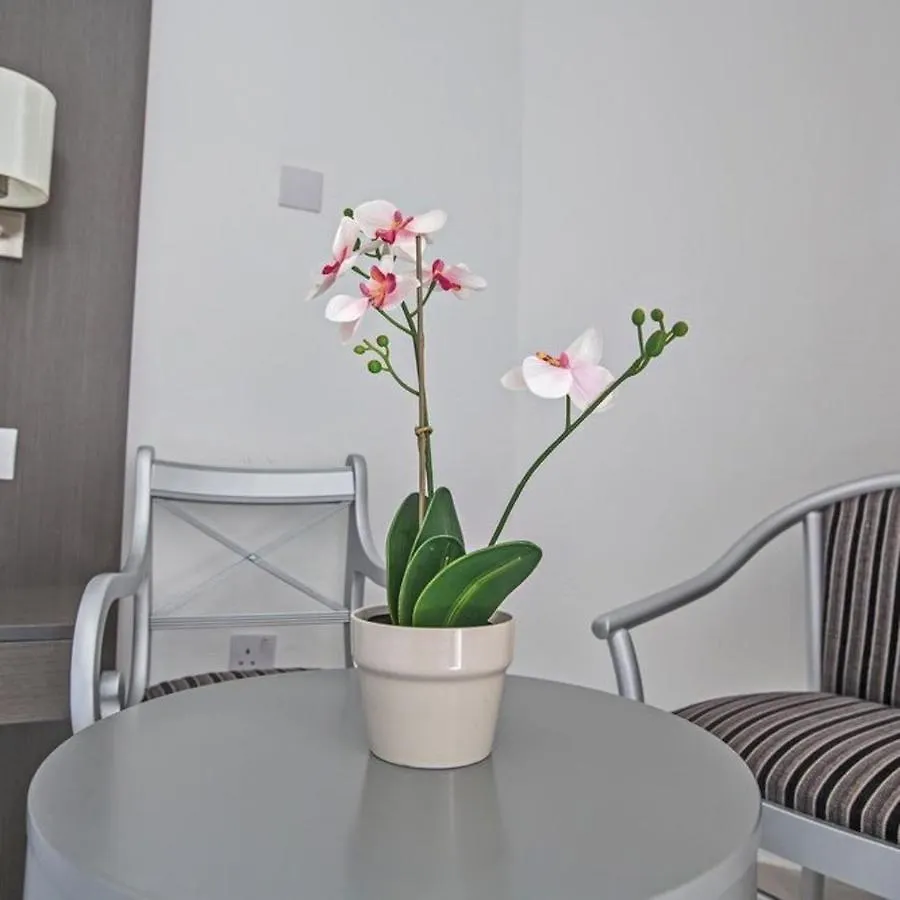 Napa Tsokkos Hotel Ayia Napa